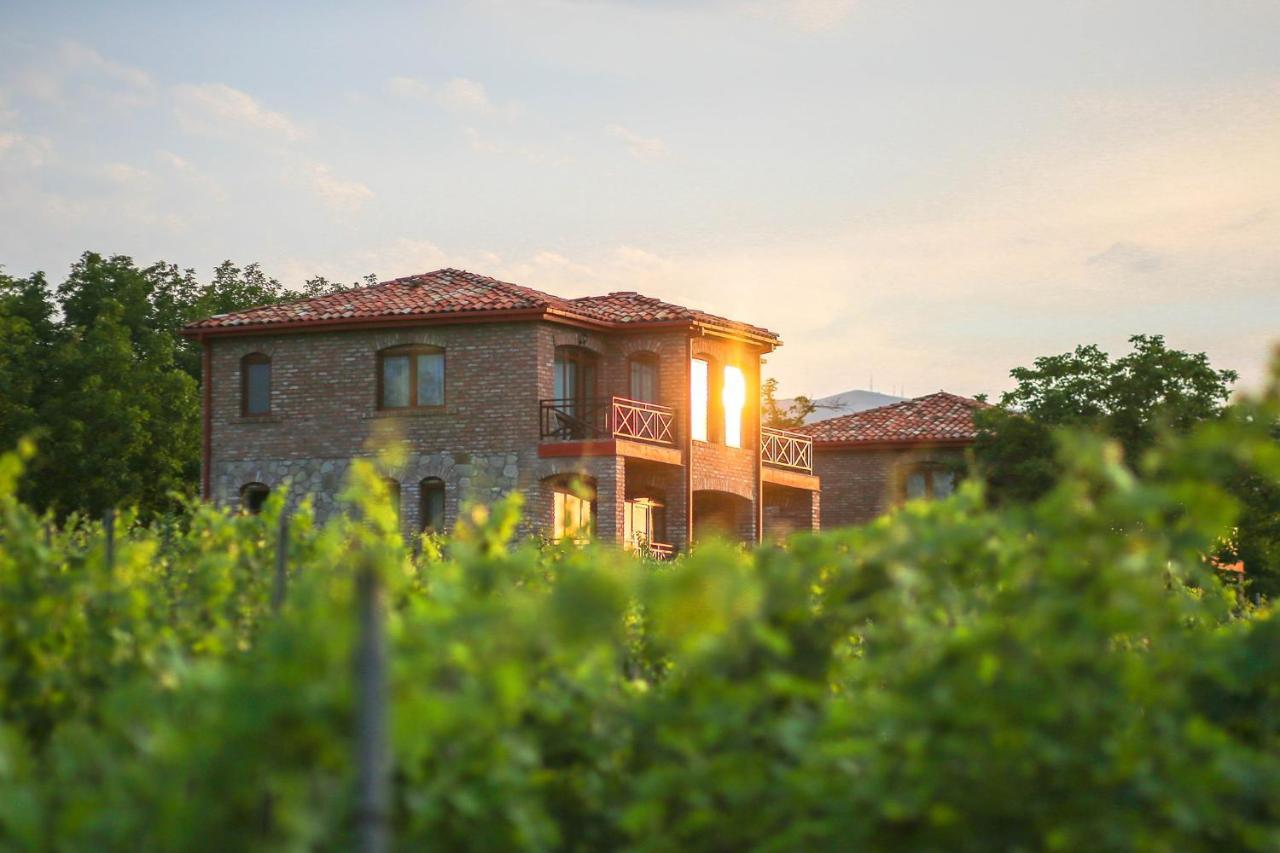 Schuchmann Wines Chateau,Villas & Spa Τελάβι Εξωτερικό φωτογραφία