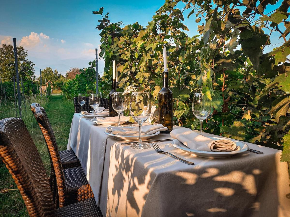 Schuchmann Wines Chateau,Villas & Spa Τελάβι Εξωτερικό φωτογραφία