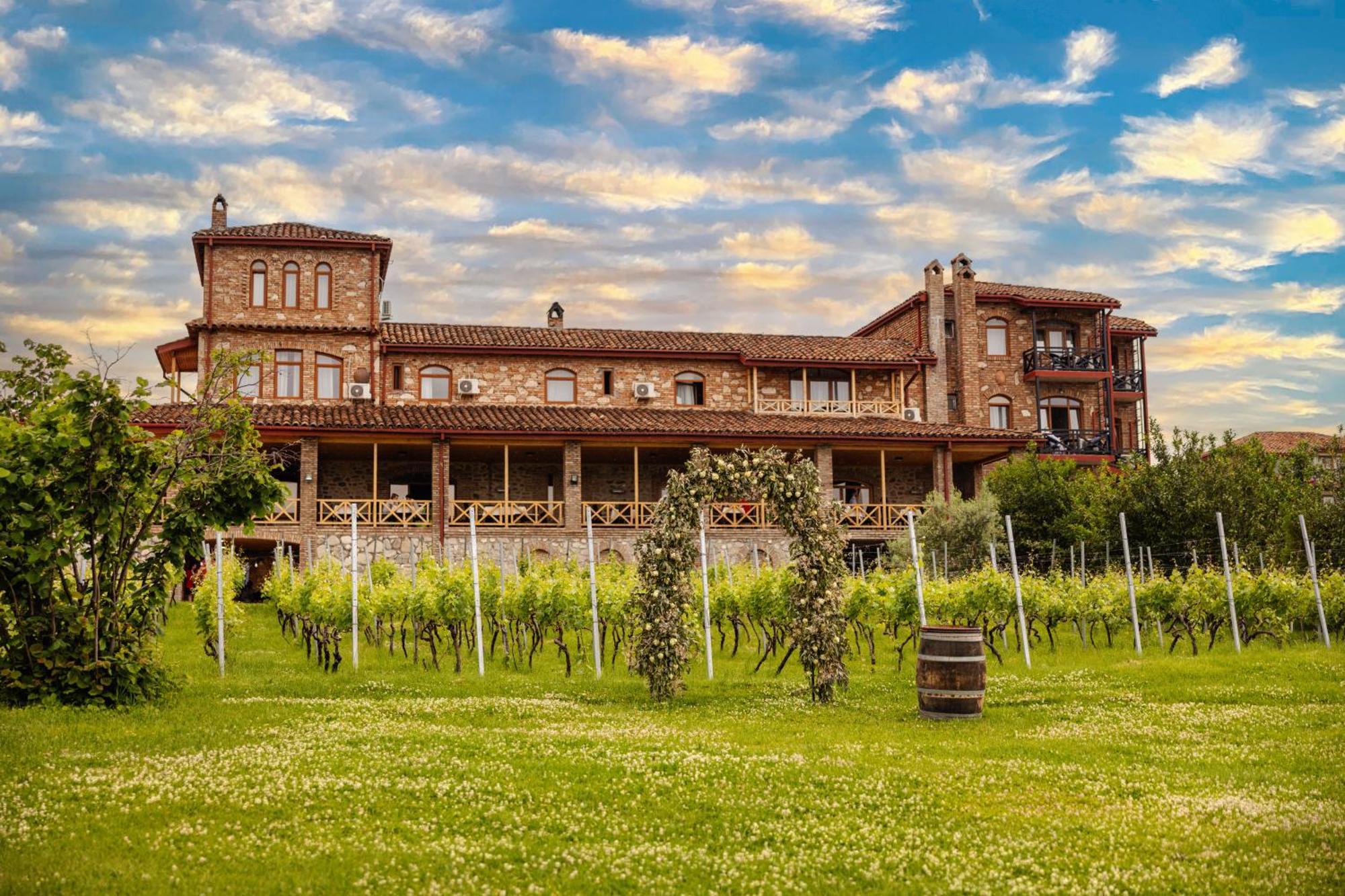 Schuchmann Wines Chateau,Villas & Spa Τελάβι Εξωτερικό φωτογραφία